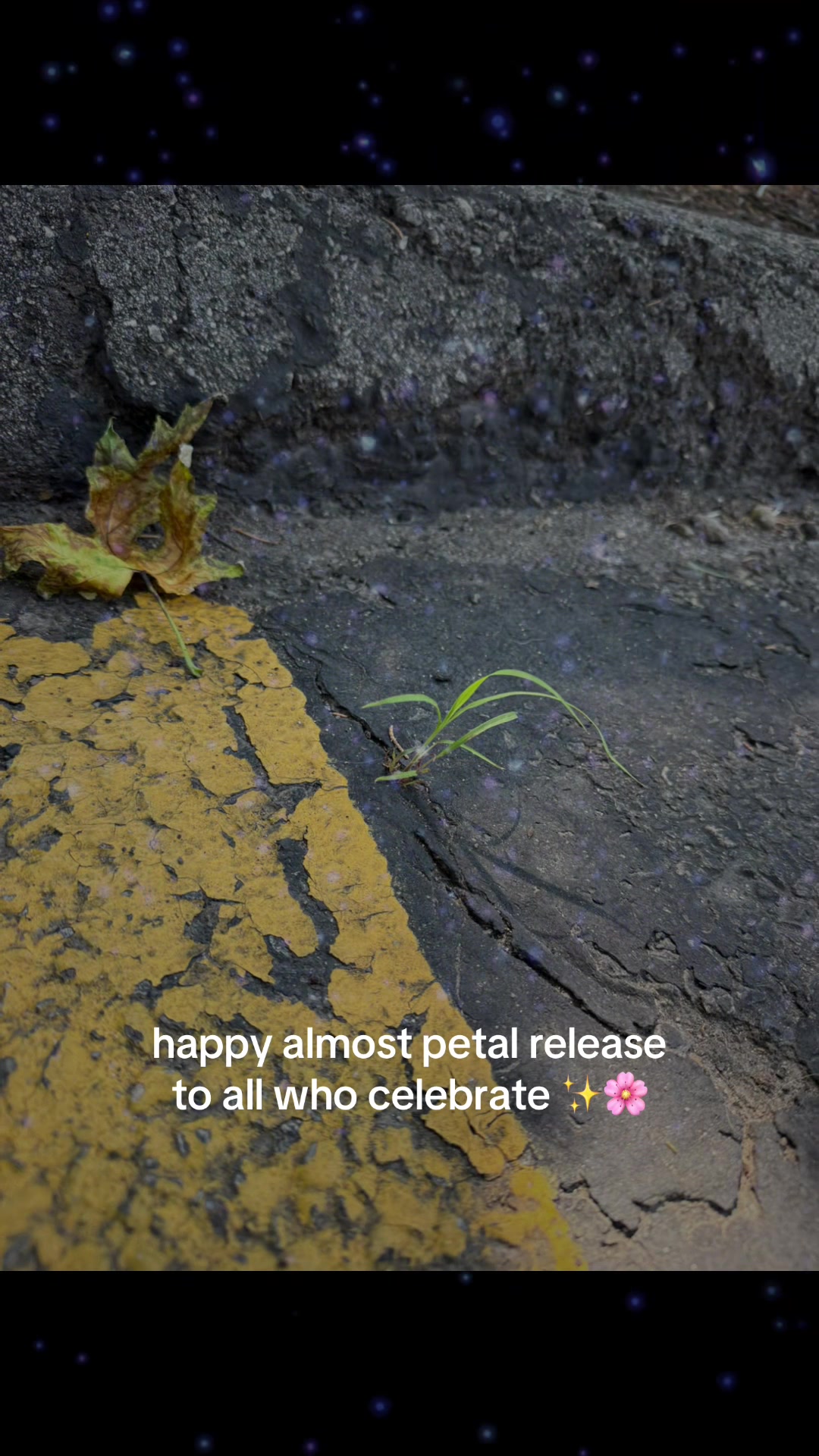 @Rachel :)
