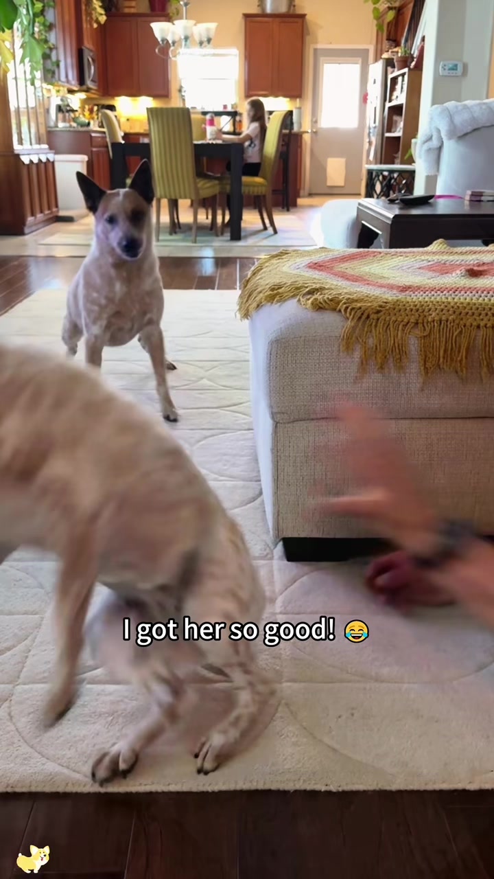 @SneakyFails