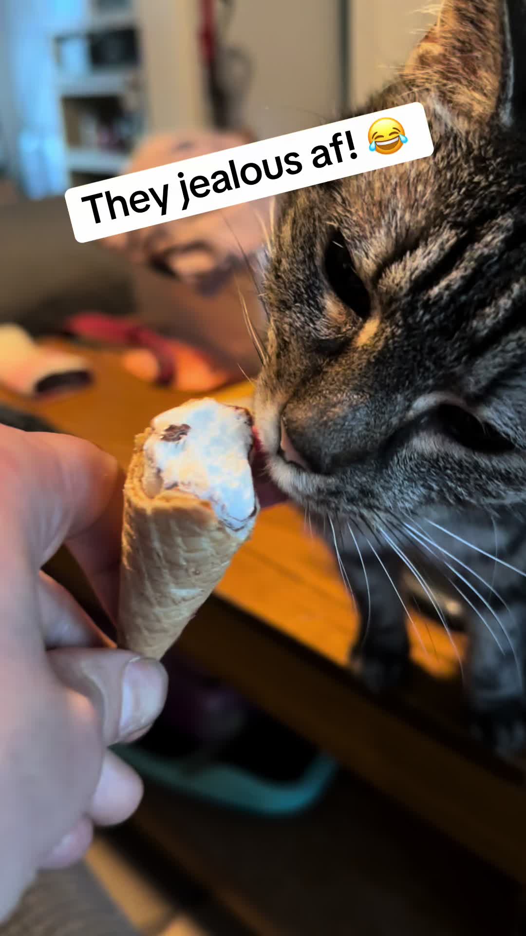 @Captain Cat Dad