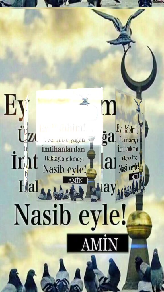 @aynur Kocakaya 280.🤲