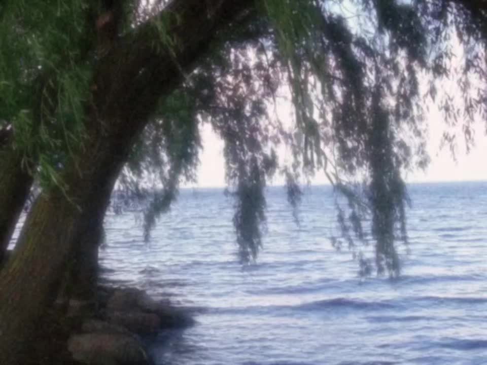 @𝘿𝙄𝙂𝙄𝙏𝘼𝙇𝙄𝙎