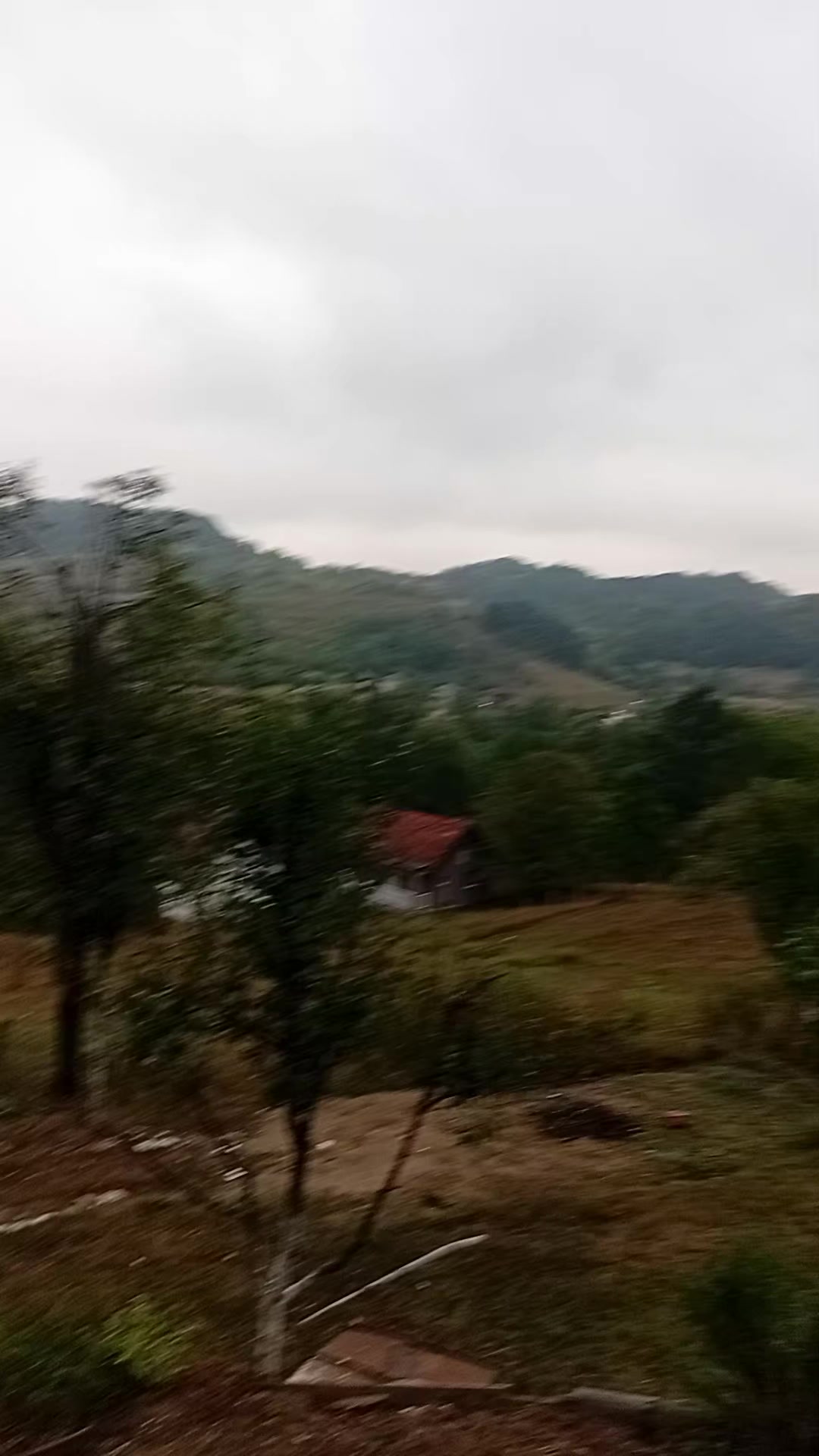 @Mirsad,🥷
