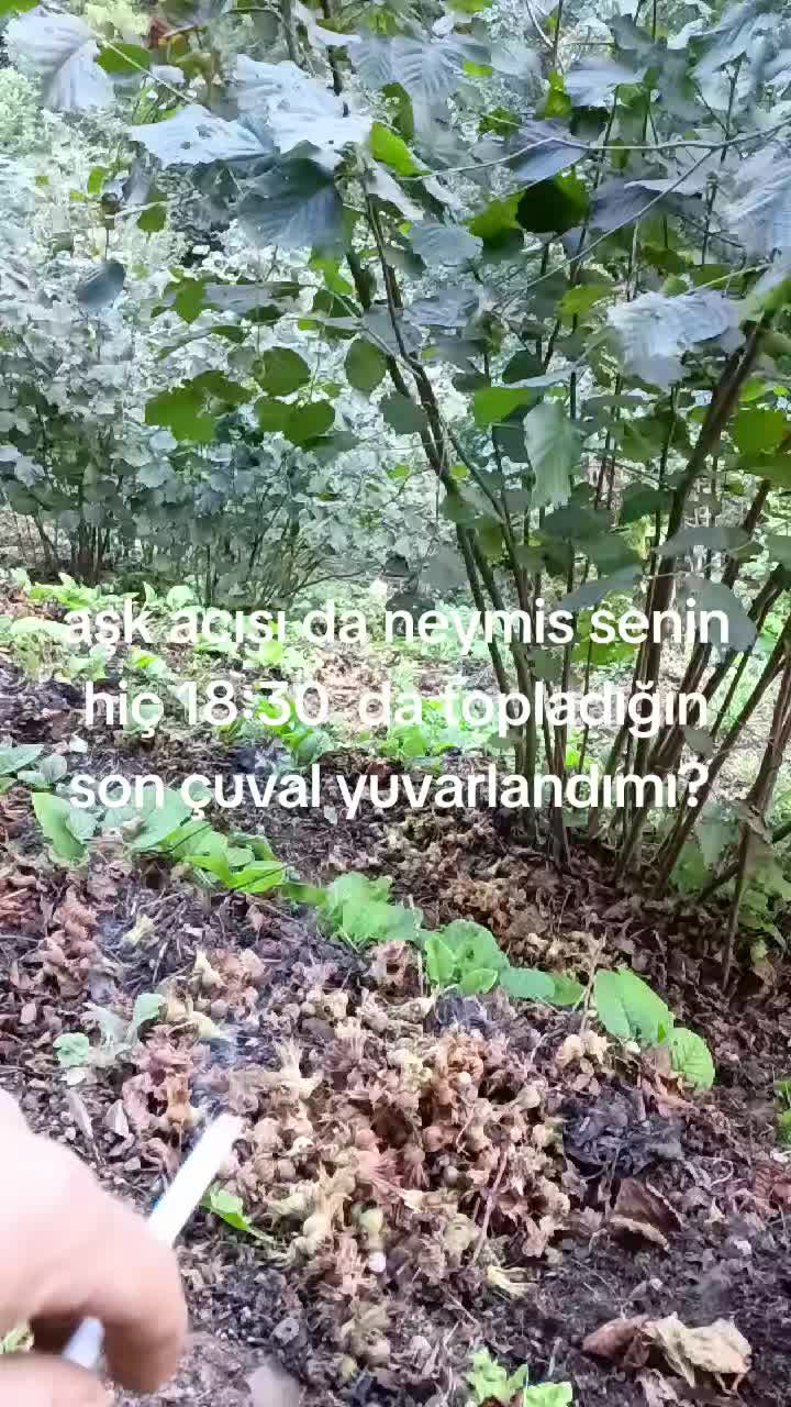 @Metin gökmen