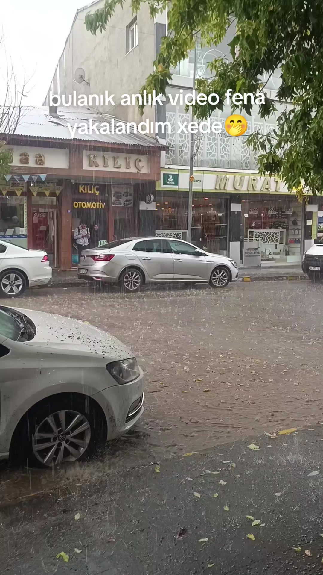 @@ Keça kurda 49 bulanıksayfası