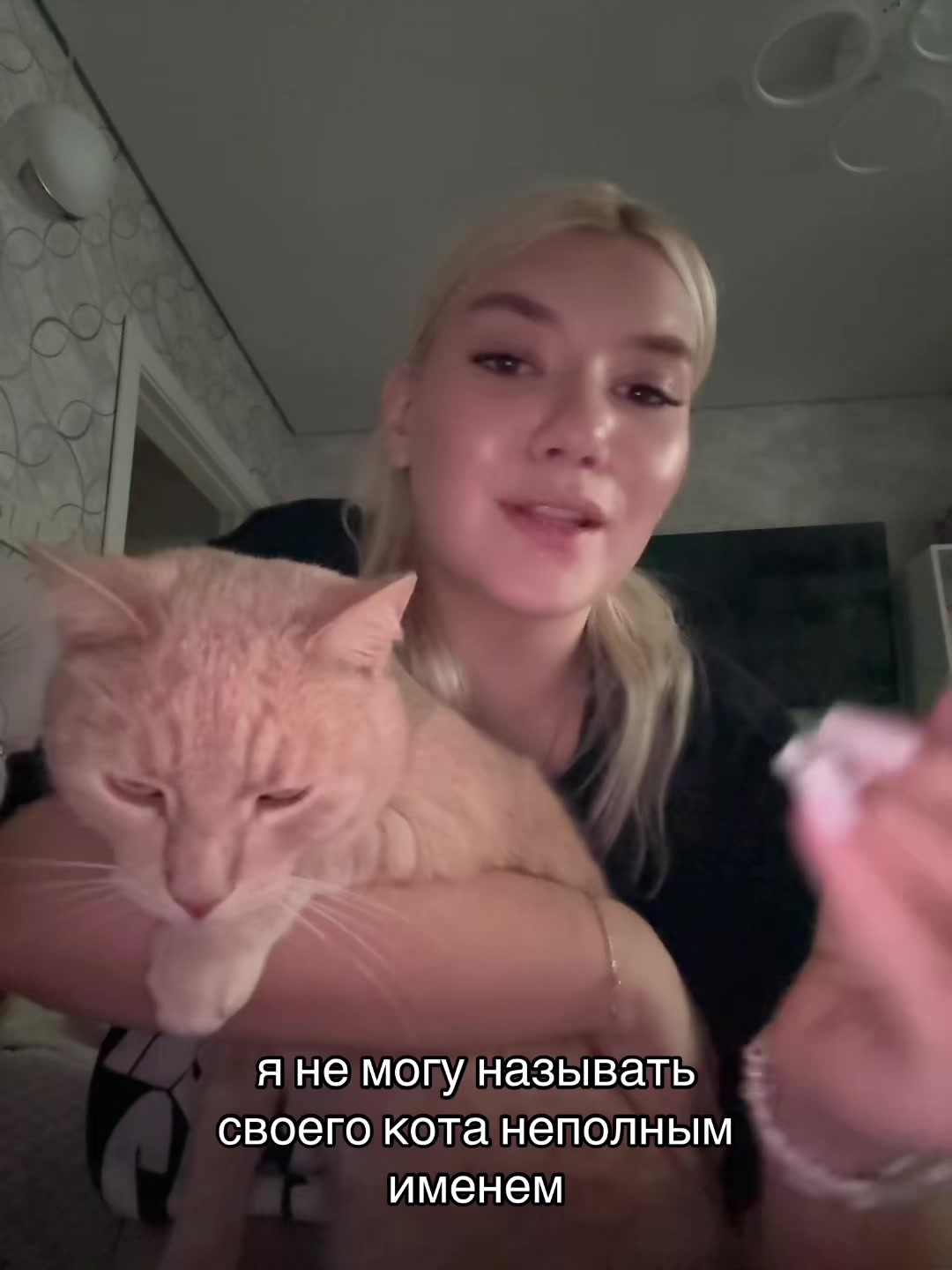 @тгк:гномка2008