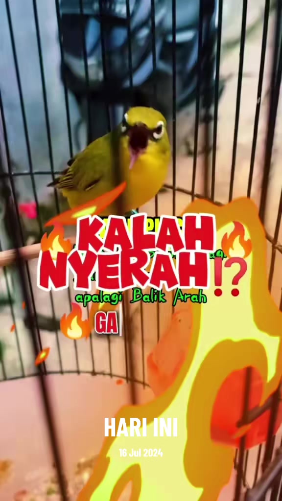 @totalbukpar