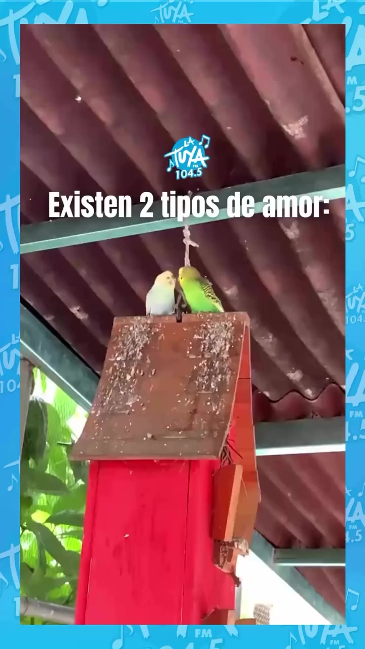 @elnegrito๐๐๐๐๐ฌ๐น๐ฌ๐น๐ฌ๐น
