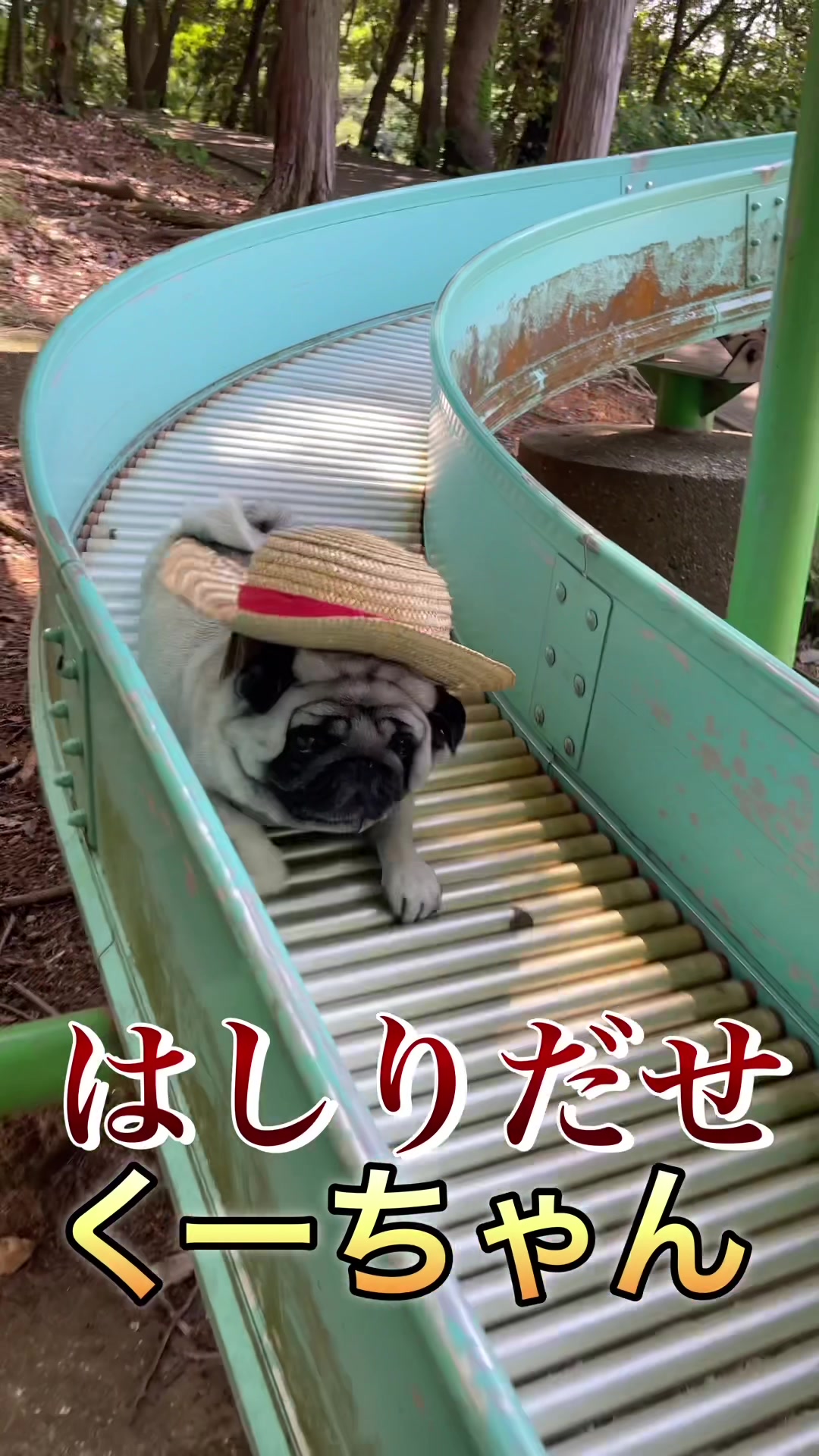 @kksuke