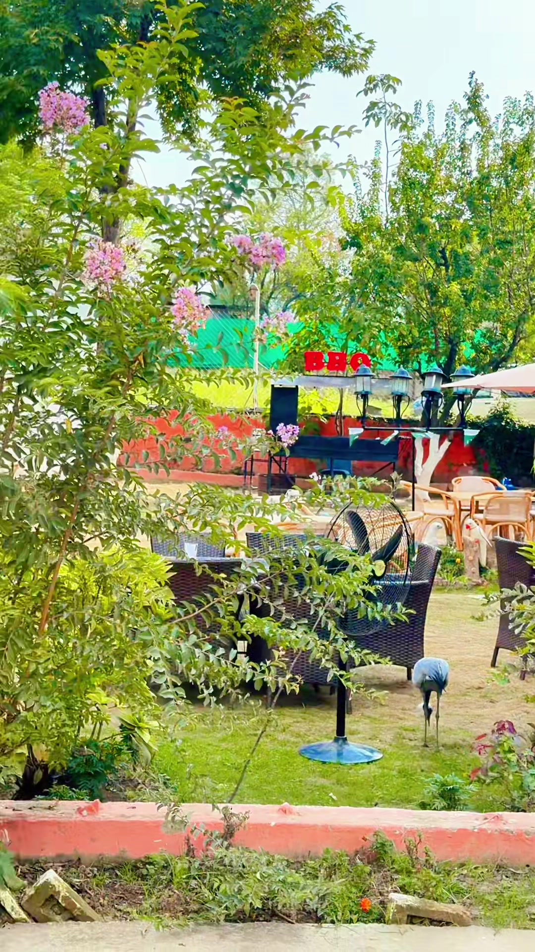@꧁❣︎༒︎𝓖𝖚ℓfสm𝓠𝓾𝓻𝓮𝓼𝓱𝓲༒︎❣