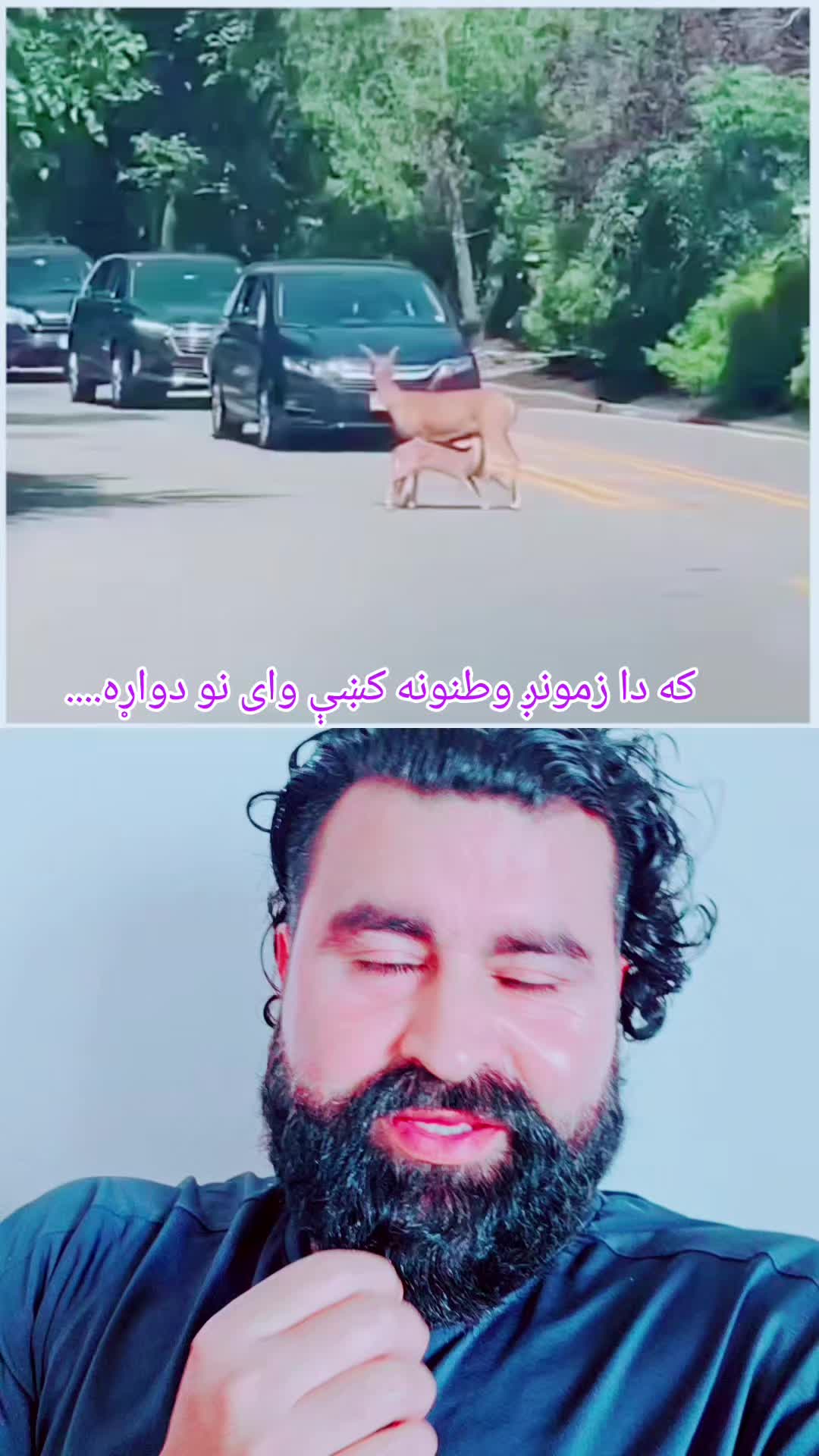 @Dr. shinwarispeaks