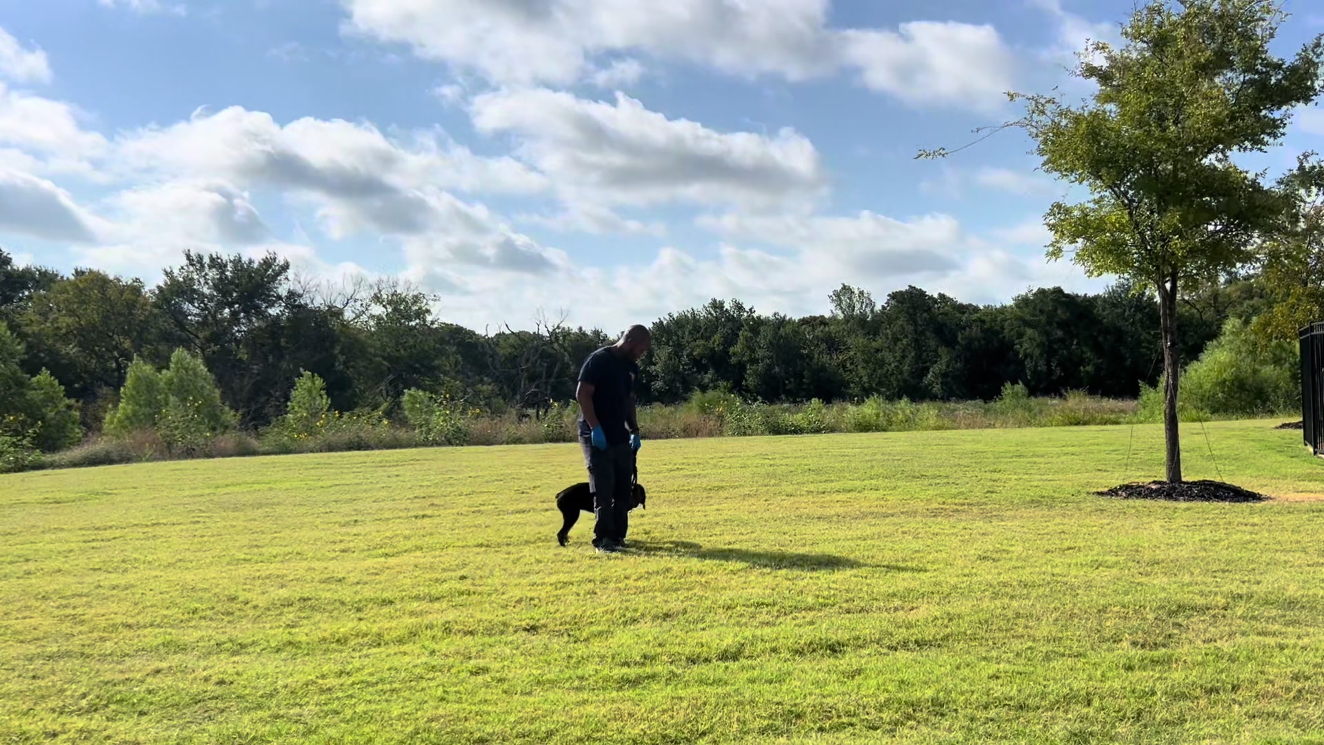@HardBody K9 Training