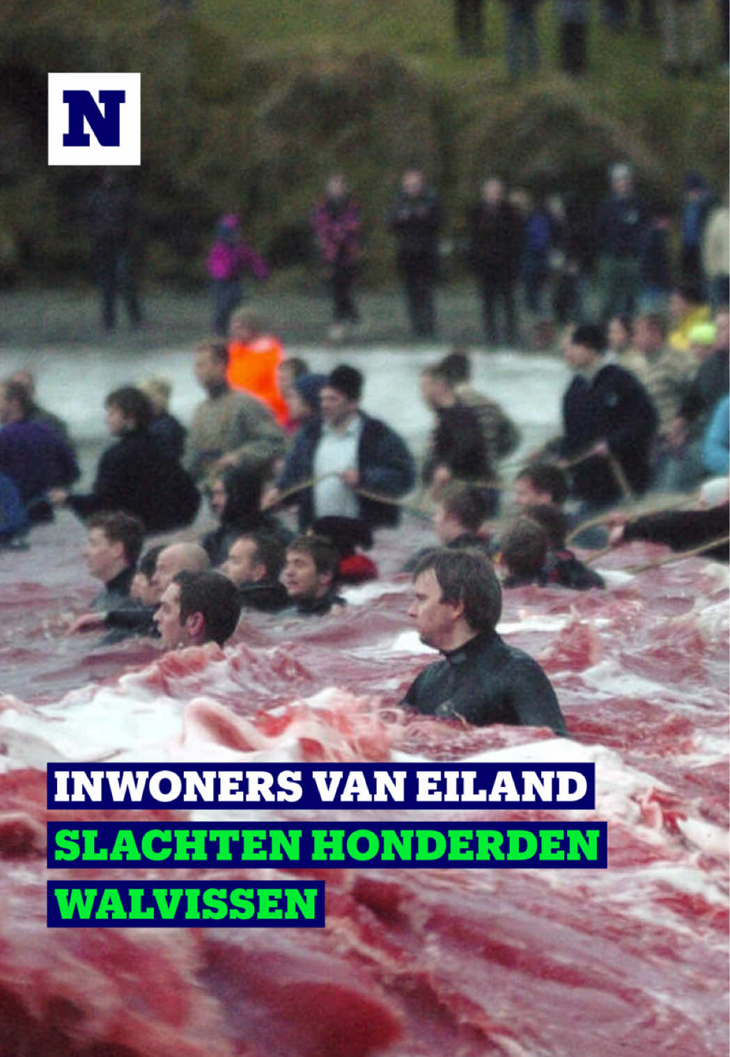 @Nieuwsblad