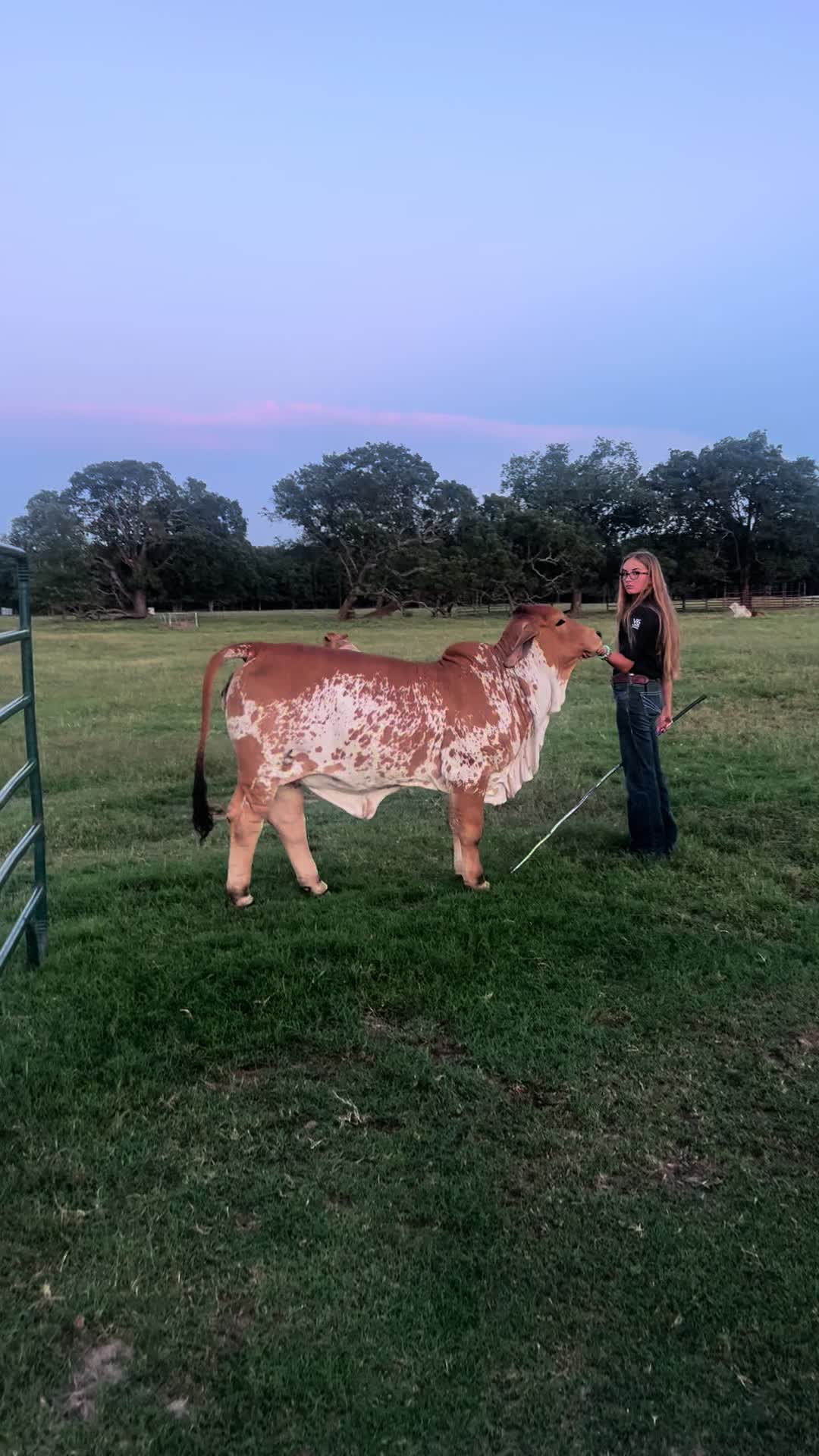 @The V6 Ranch