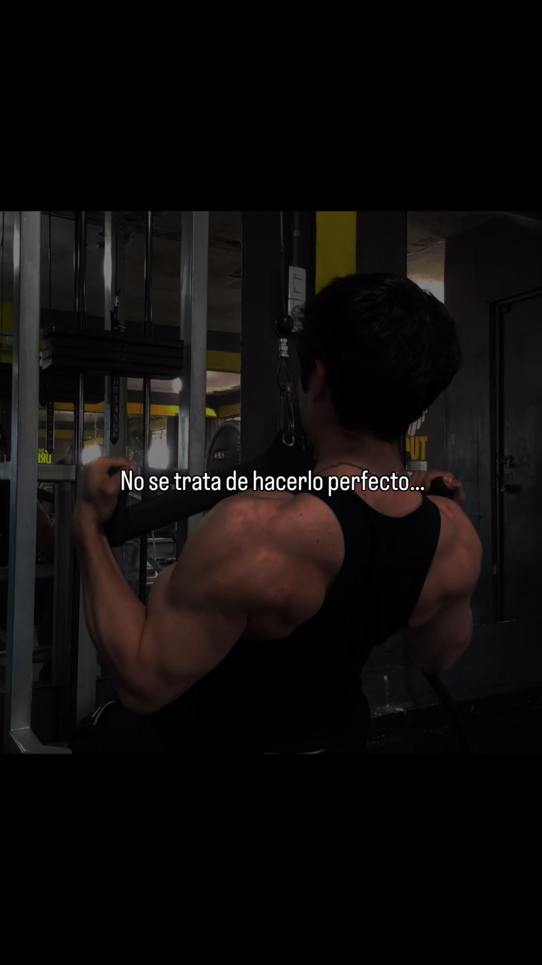 @Alaneart