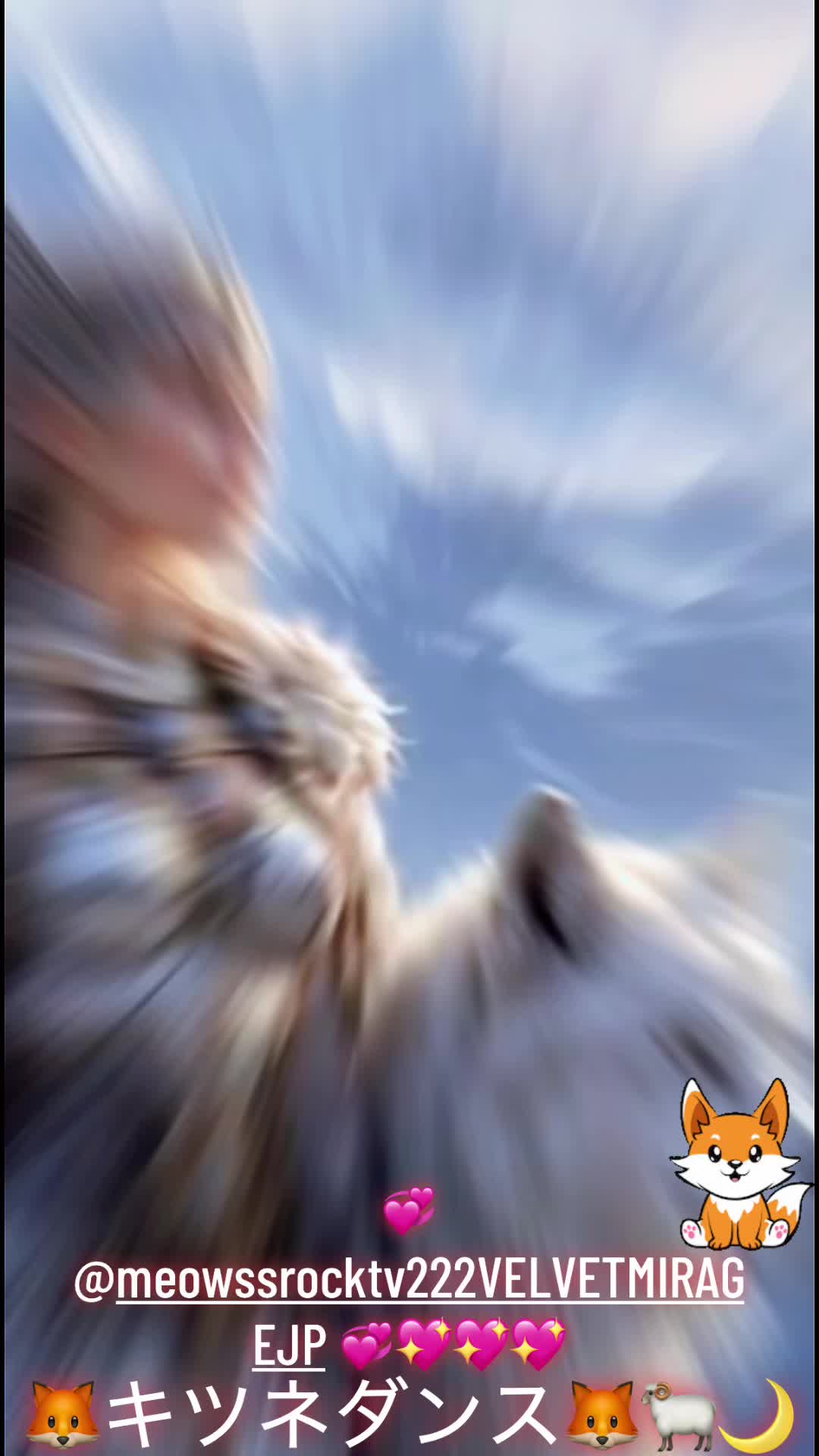 @🦊キツネダンス🦊🐏🌙