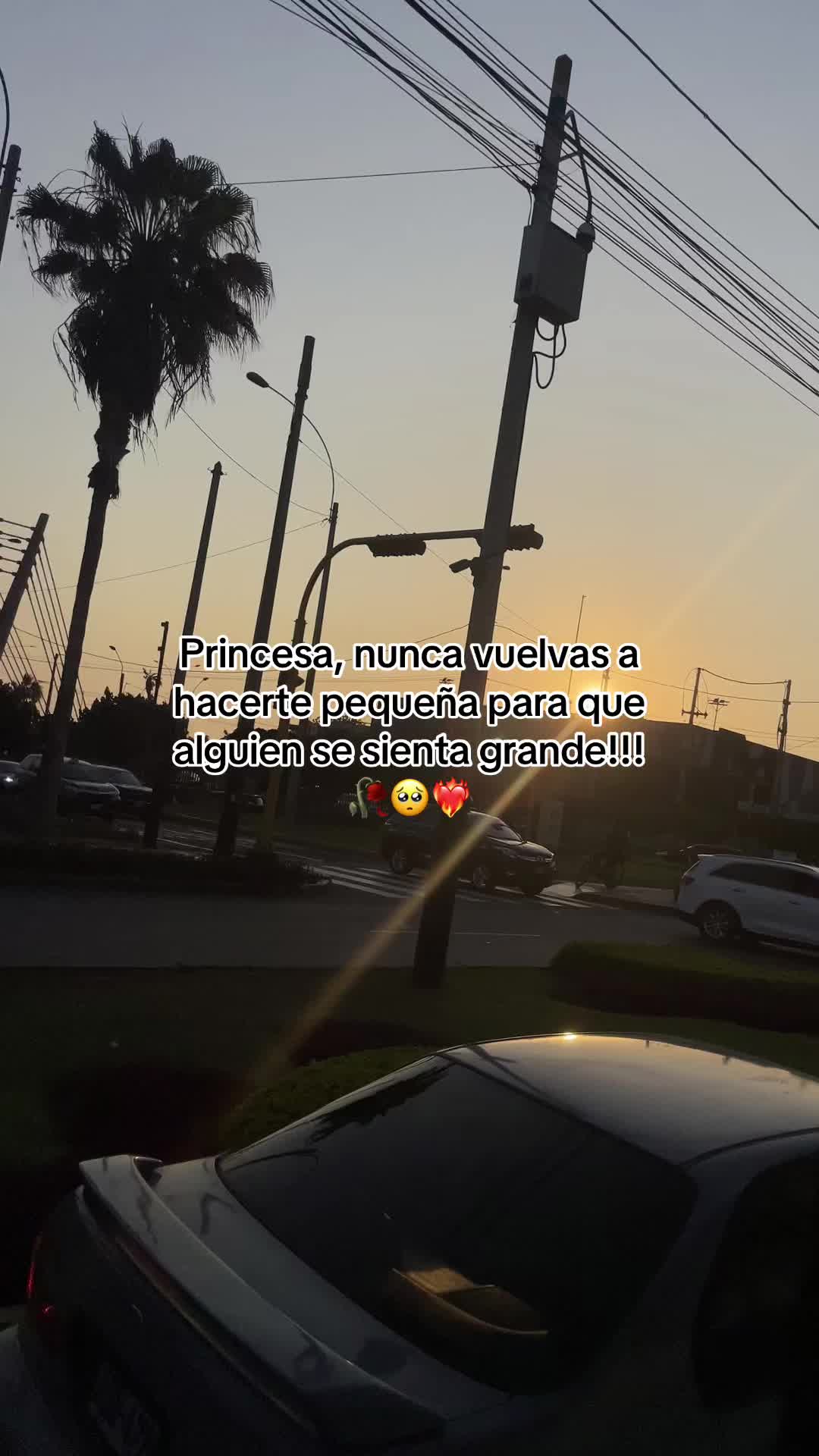@𝓜𝓪𝓻𝔂