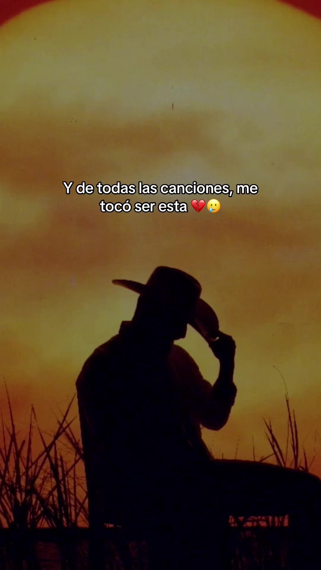@locoxvolver.jpg