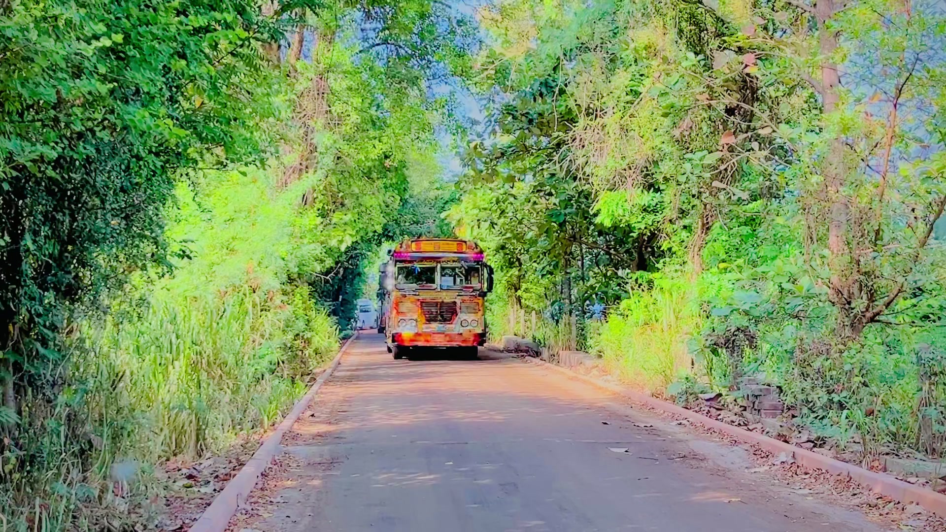 @Janidu_Dinuwara 🤍🙂↔️