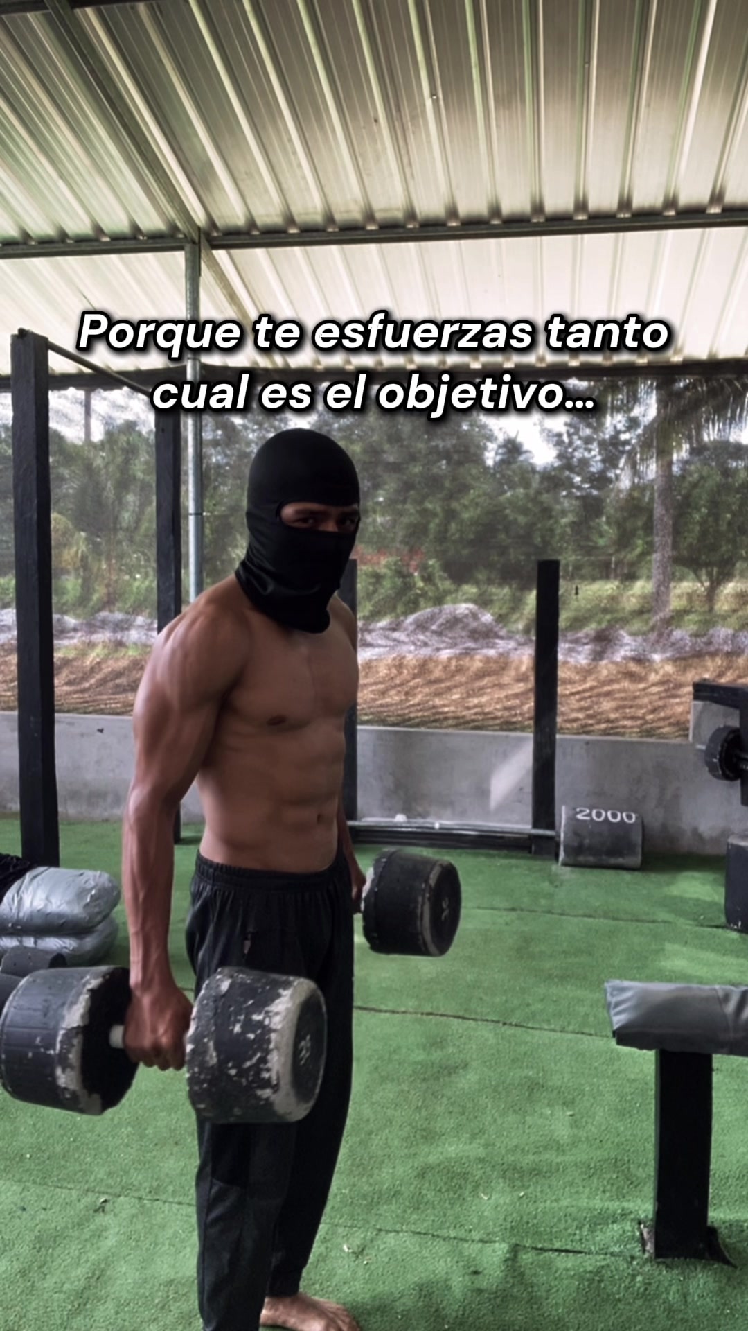 @TINO_FITNESS🔱