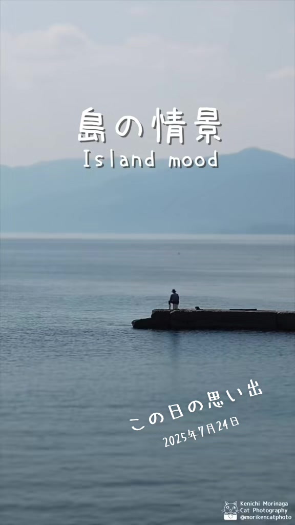 @猫写真家 森永健一