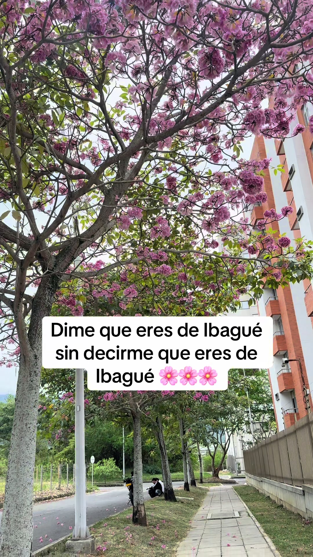 @Gabriela Ospina