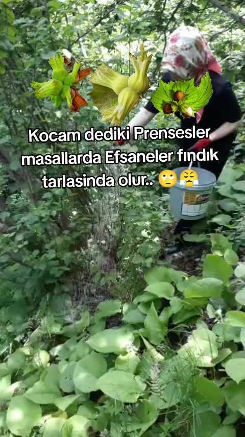 @𝓜𝓮𝓵𝓪𝓱𝓪𝓽 🕊️ 𝓔𝓻𝓴𝓪𝓷