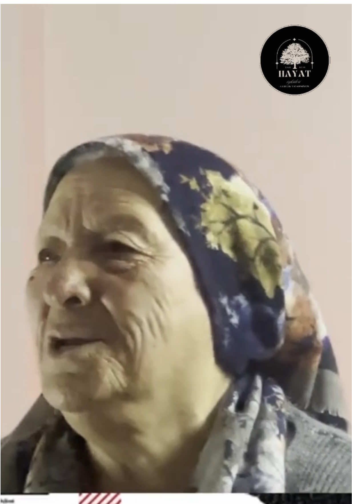 @Hayat &Ouml;yk&uuml;leri
