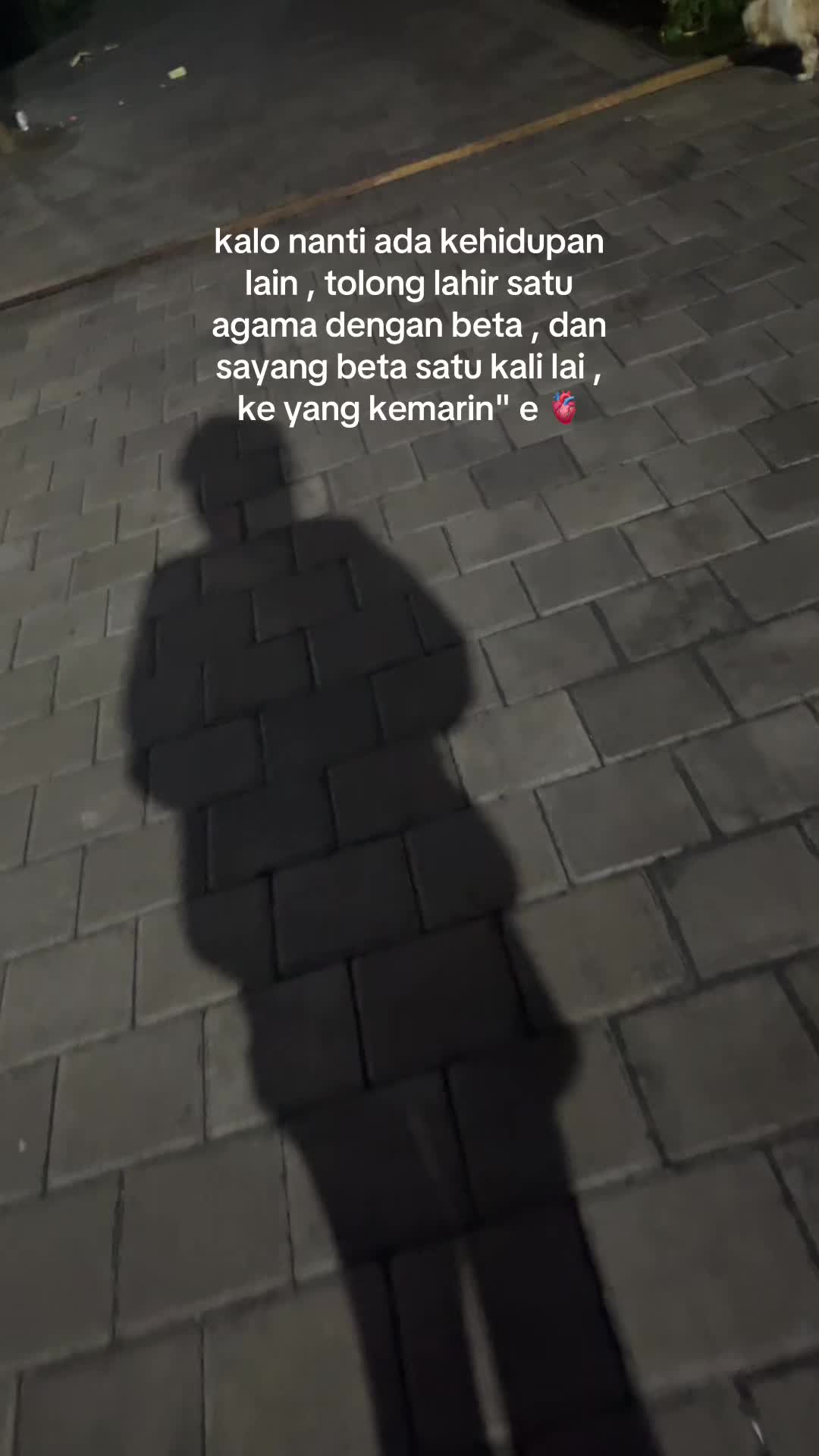 @🐼