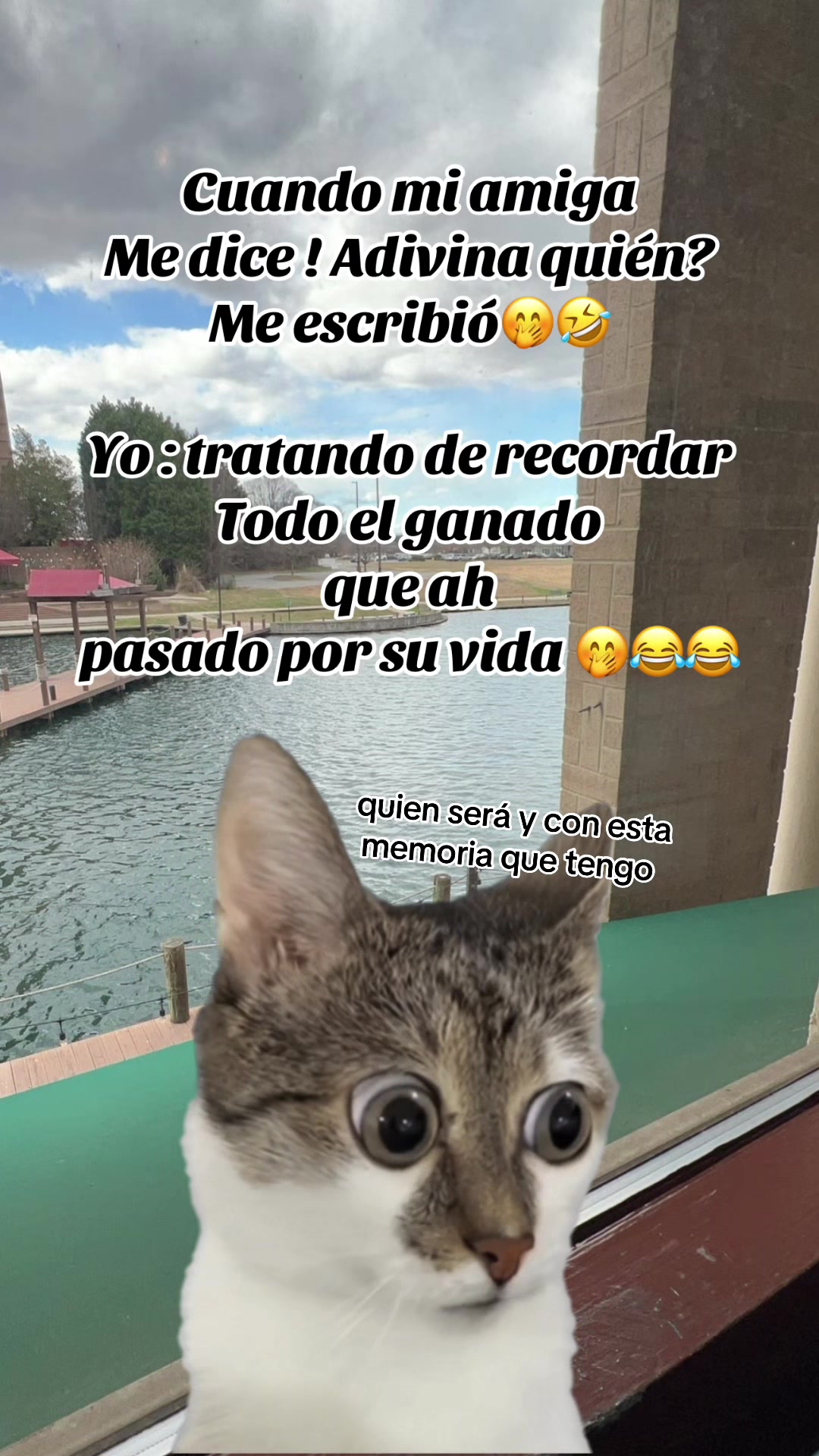 @maripili