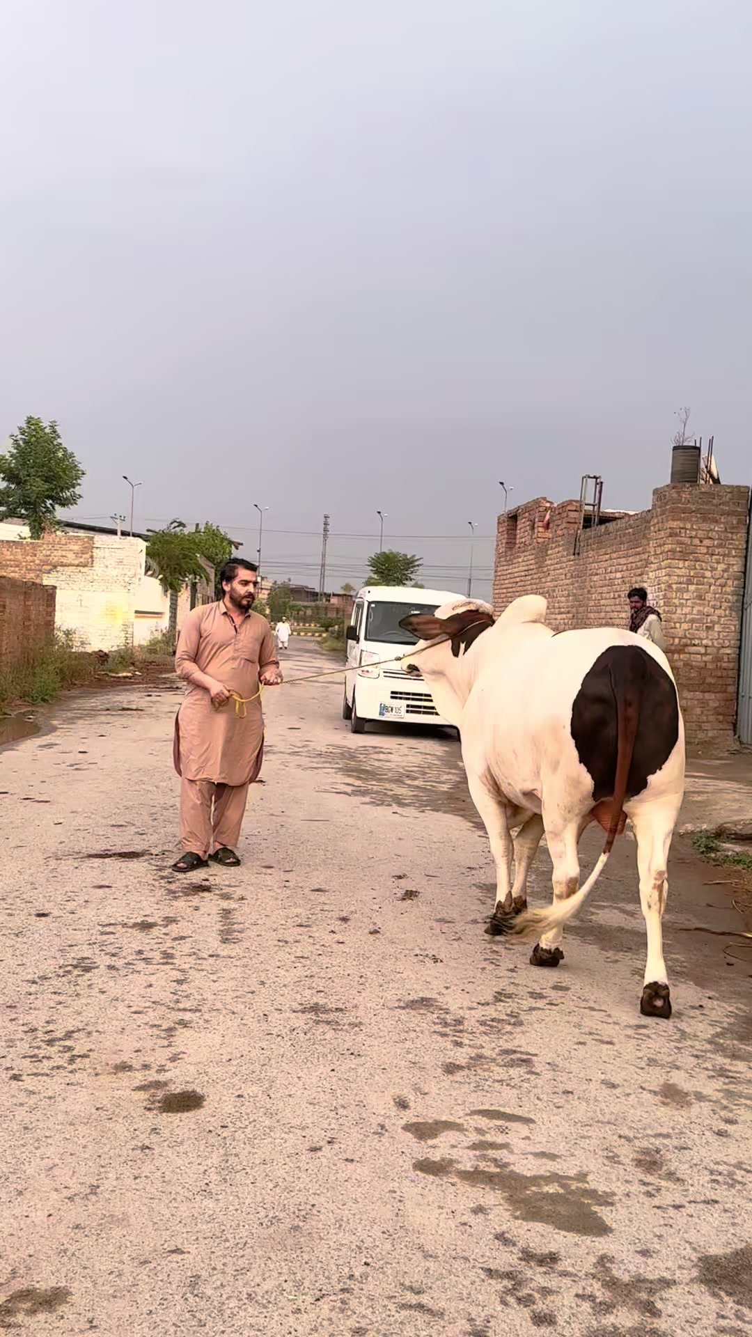 @Shahbaz Khan