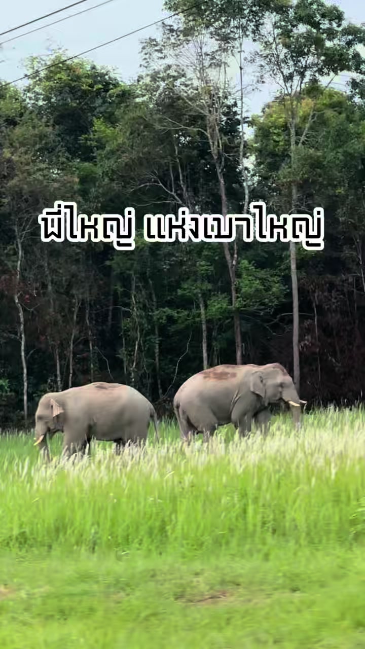 @เบญที่ชอบลุย