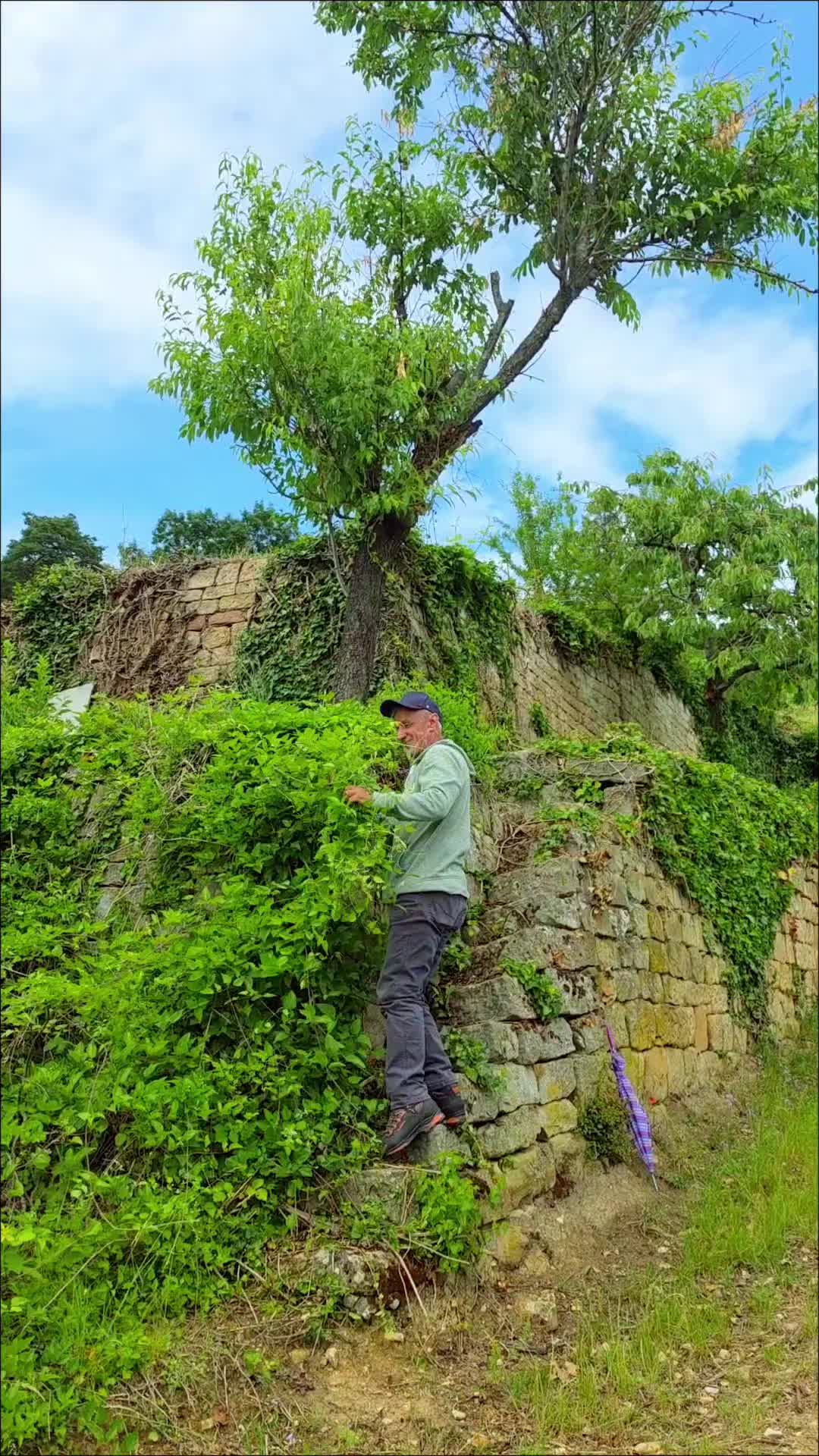 @Minir Sadiku Firaj&euml;s