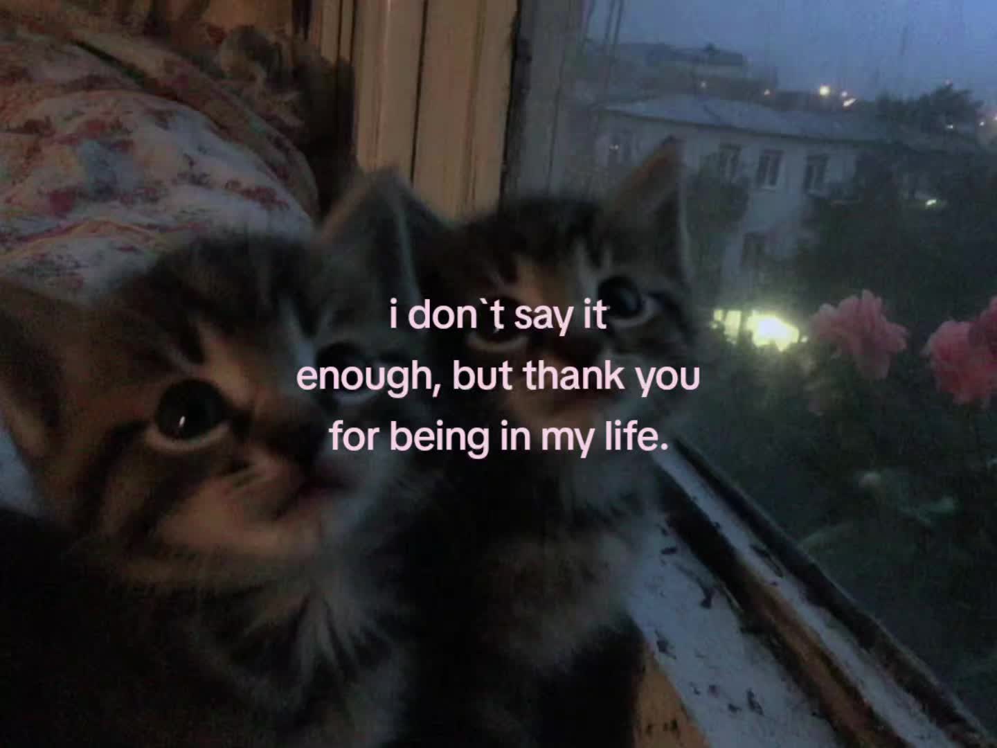 @soulful