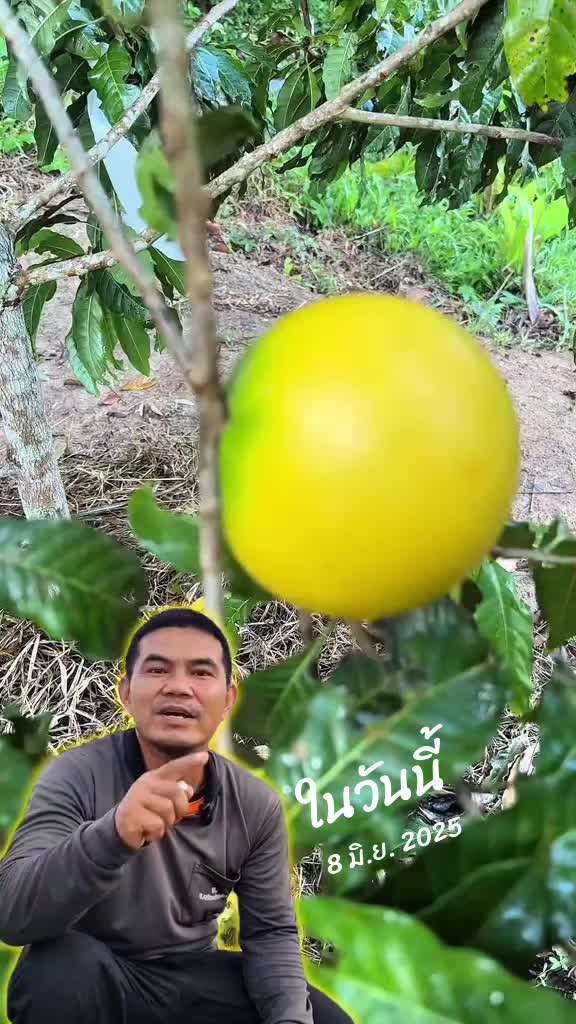 @Konloy