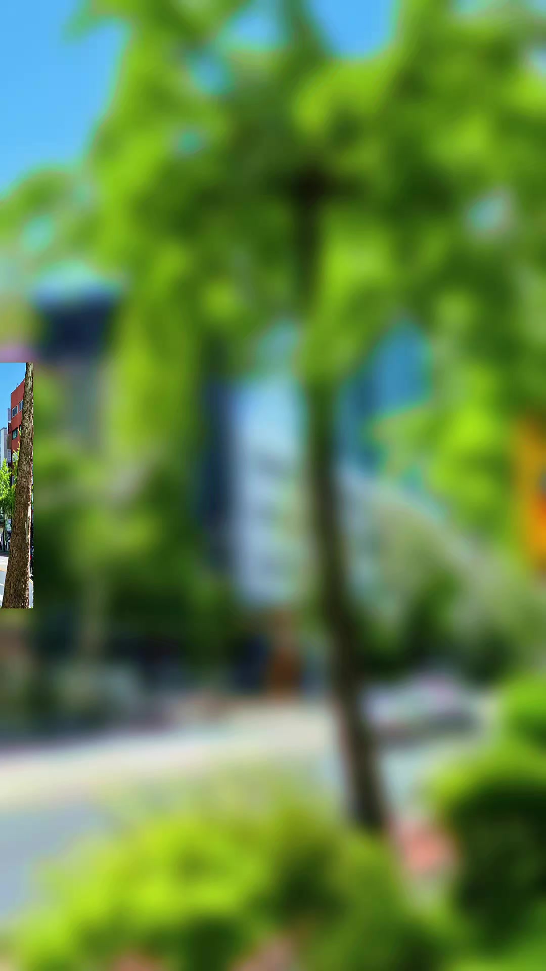 @徐載源