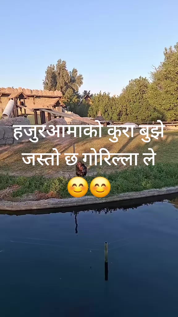 @Risha Gurung🫶🧿