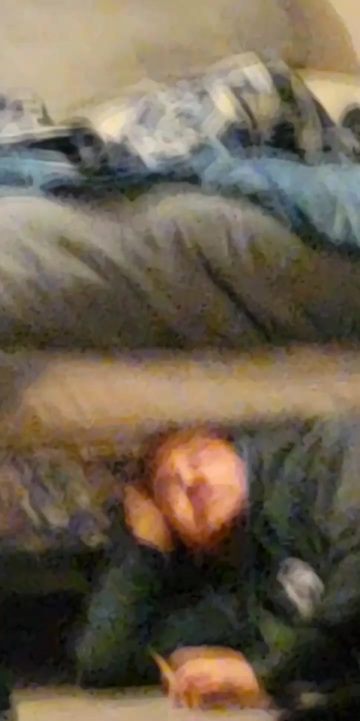 @DiggerDawe709