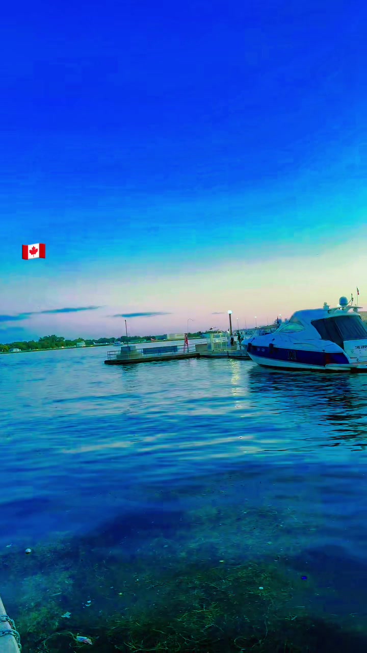 @[JOY KABIR❤️🇨🇦