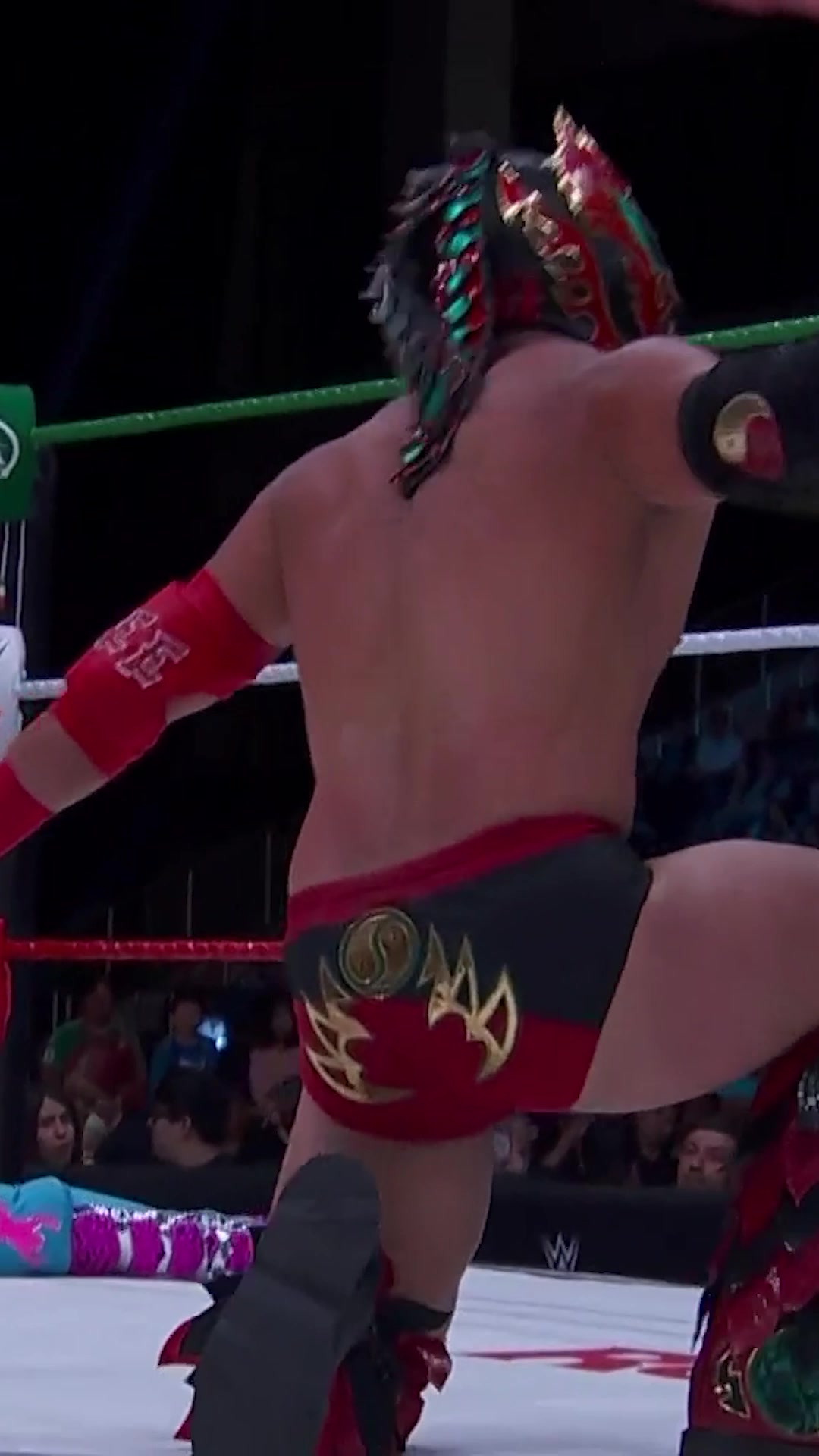 @Lucha Libre AAA