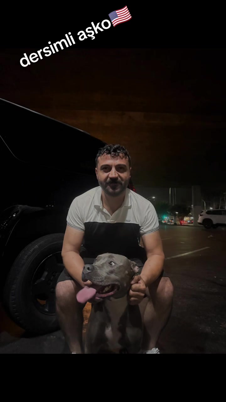 @Aşkın &Ouml;zdemir