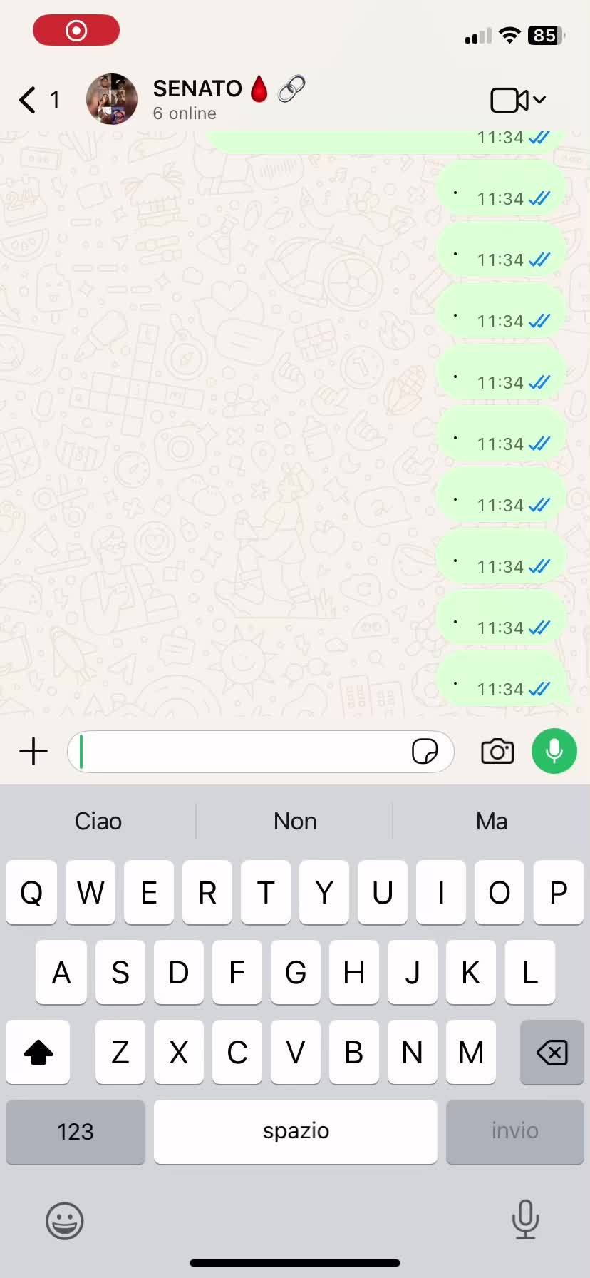 @Rosario turco