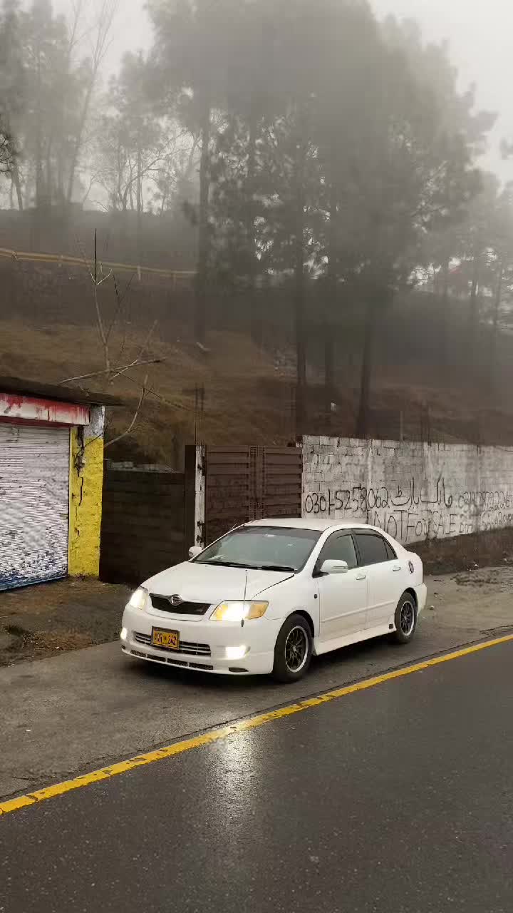 @itx_shahg🖤