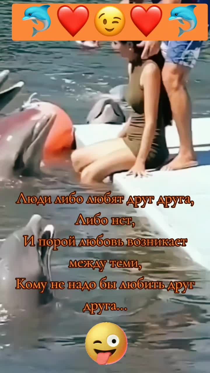 @🌊🐬ДЕЛЬФИН🐬🌊