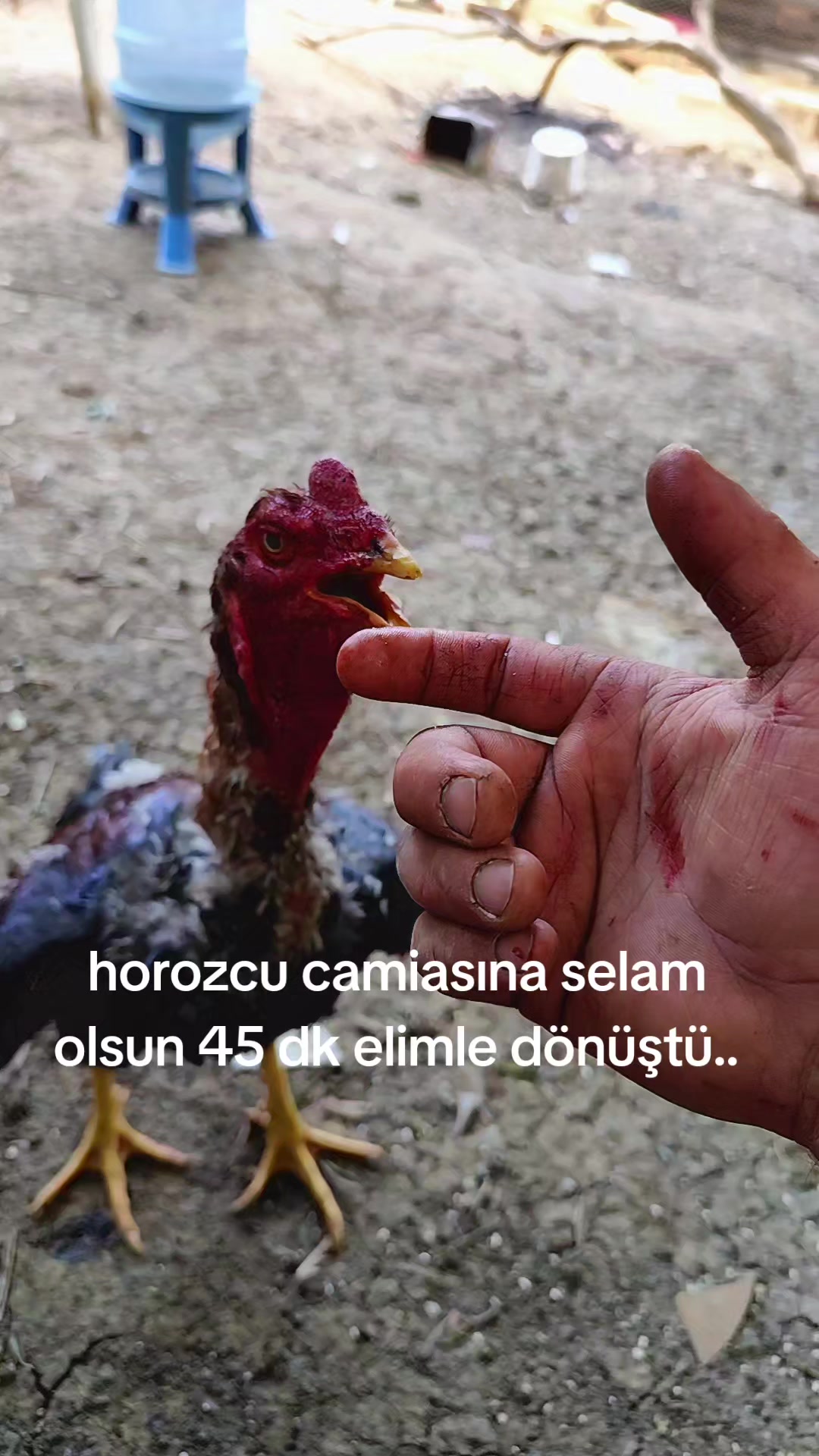 @ibrahim.