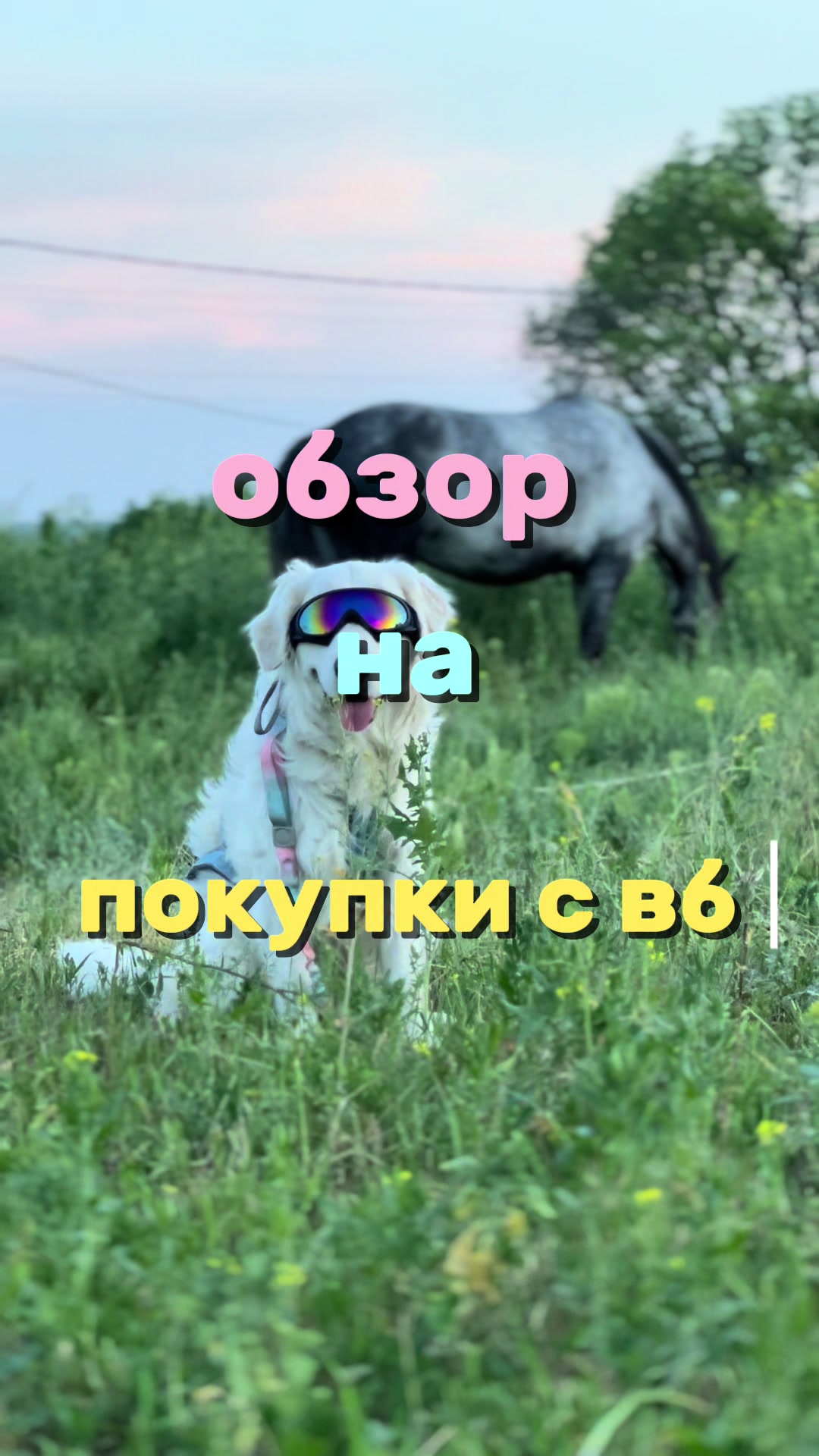 @𐔤ɯᥲᥴⲧыύ ⲙᥲρ᥈υ🥏