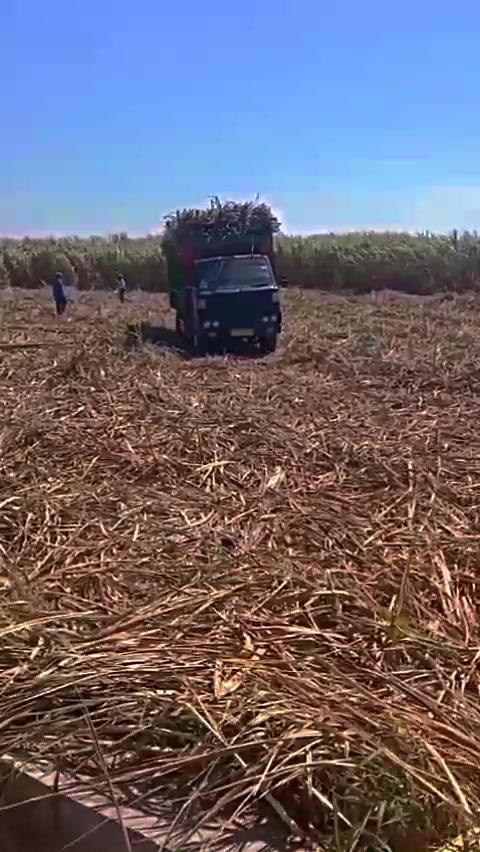 @mas ucup💥