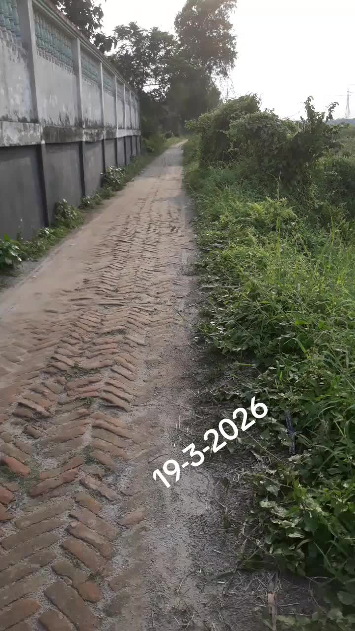 @MD meraj