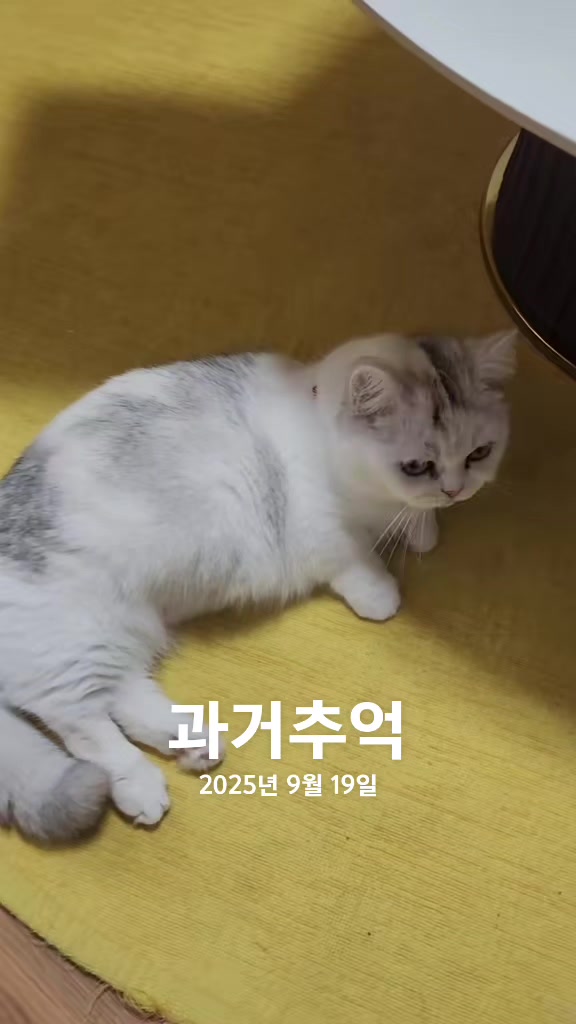 @박씨 거실