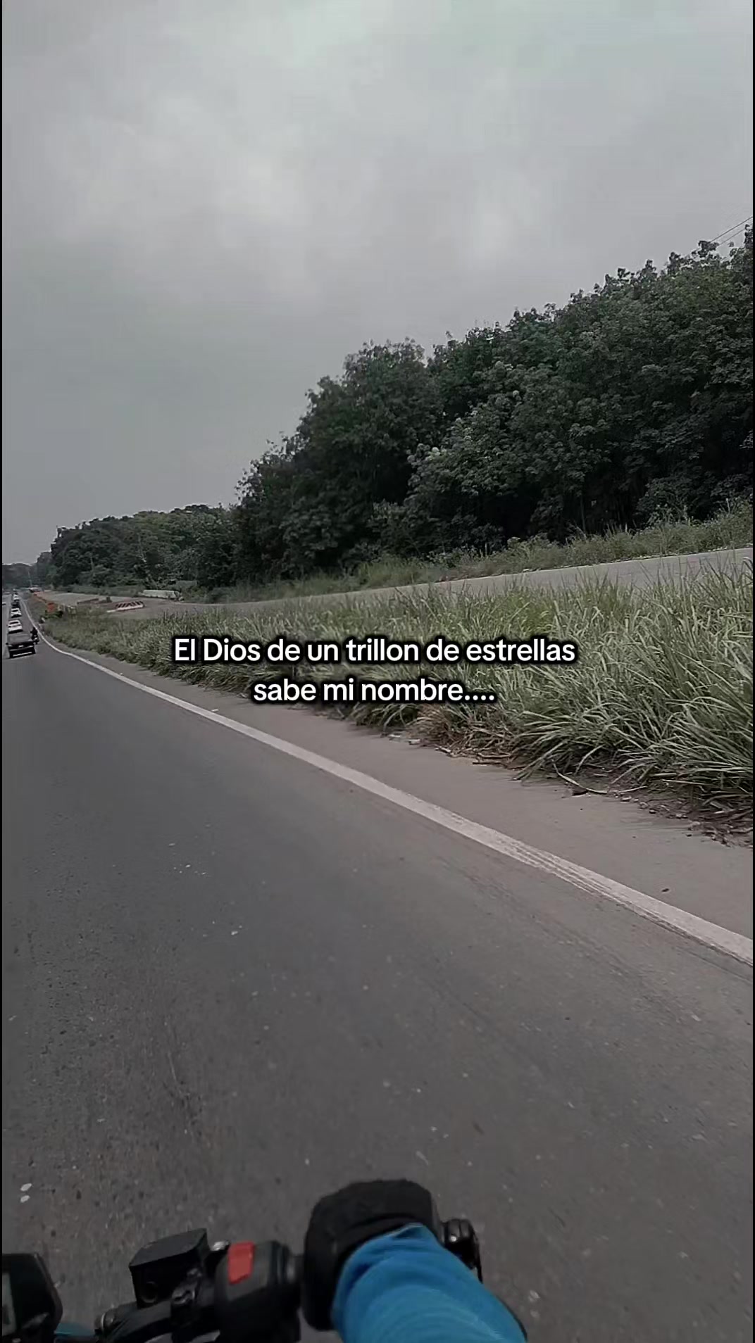 @celeste