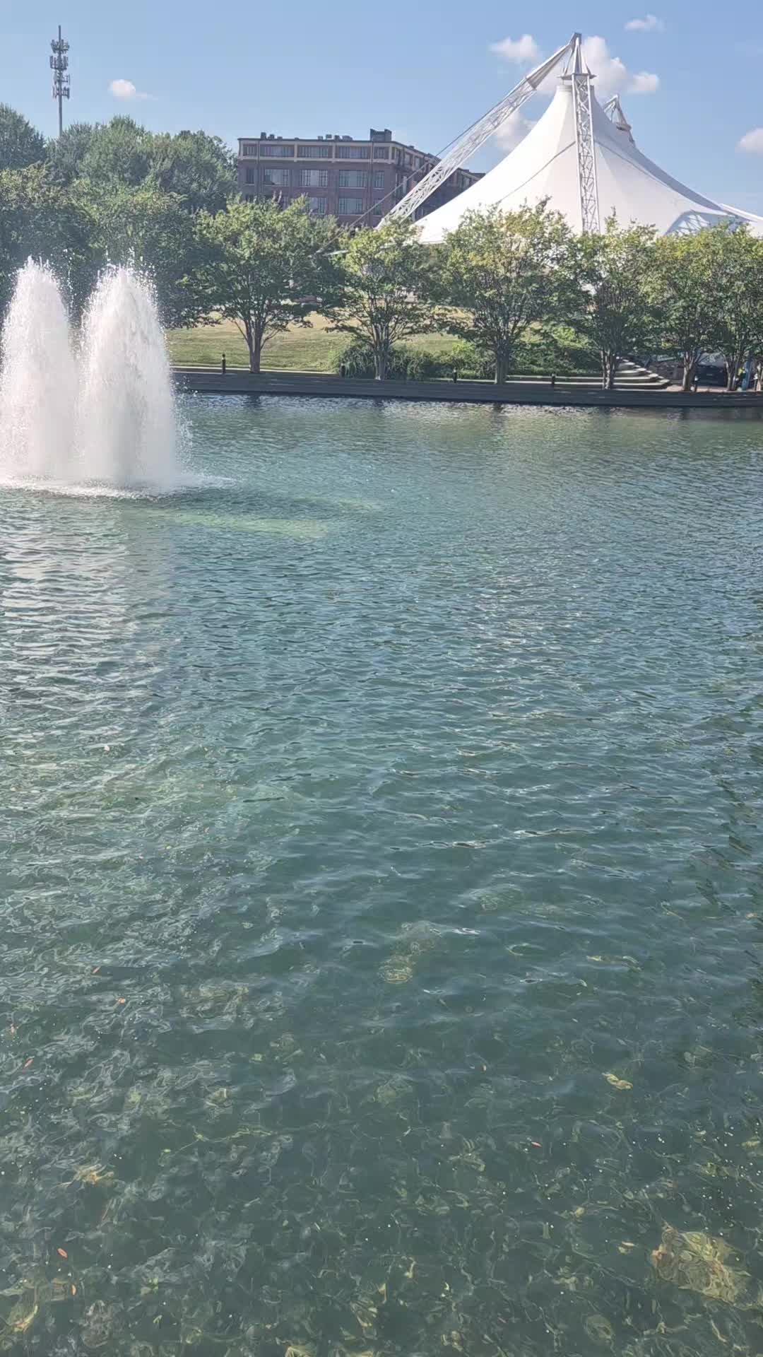 @user5466004901228